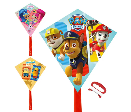 cheap PE material kids mickey kite