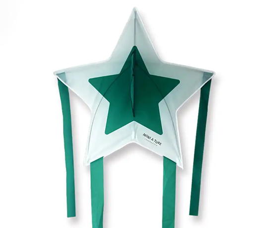 custom Design advertising Star shape kids flying toy Kites from the kite factory