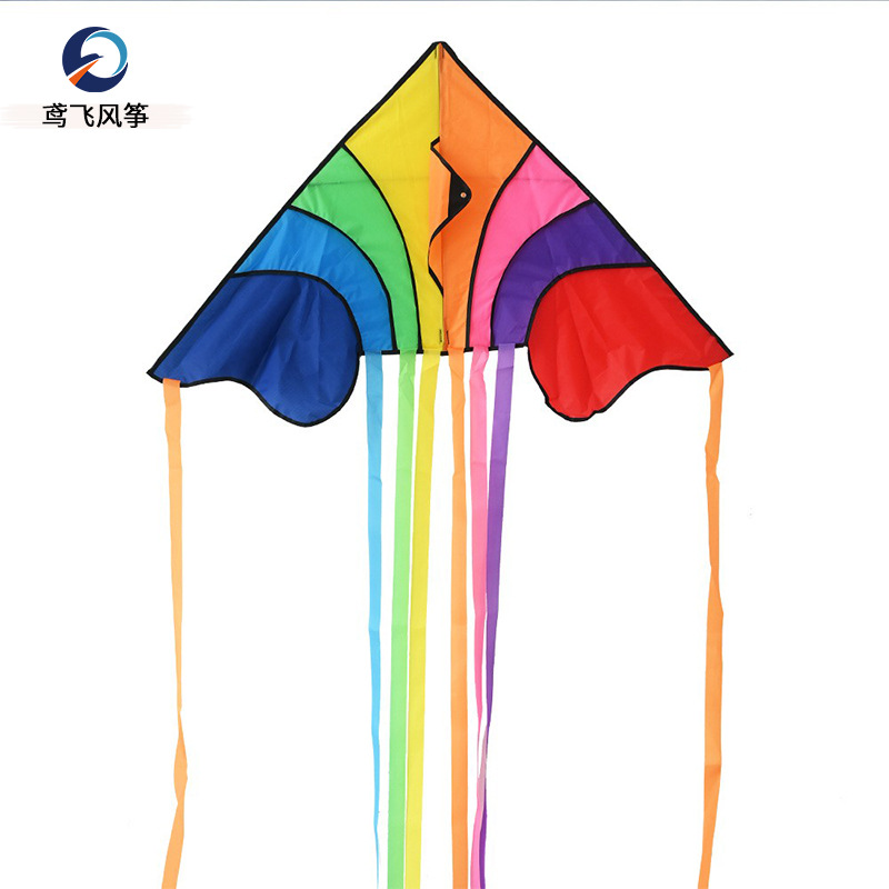 Multicolor Patchwork Delta Kite