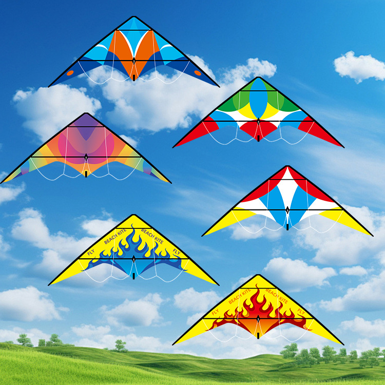 Colorful Pattern Dual-Line Stunt Sport Kite
