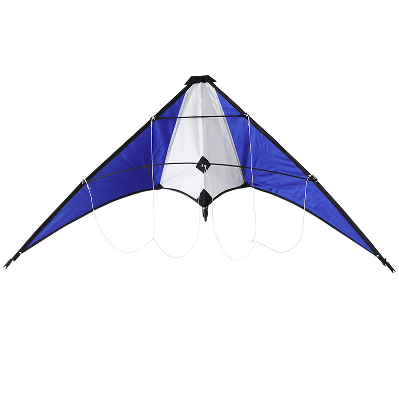 Blue and White Dual-Line Stunt Sport Kite