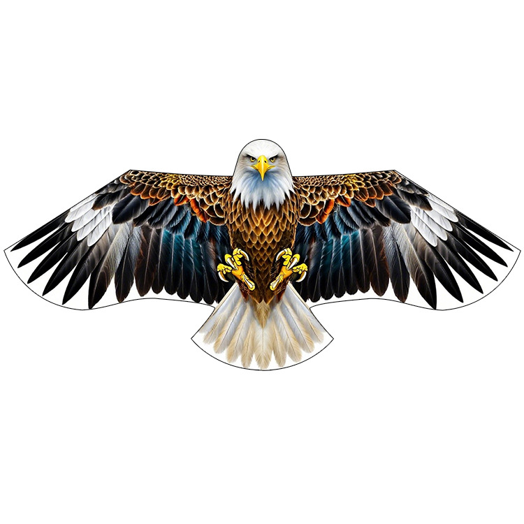 New Style Eagle-Shaped Kite