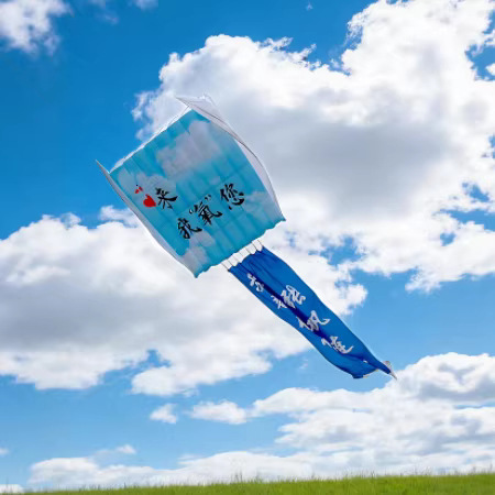 Giant 3D Soft Kite