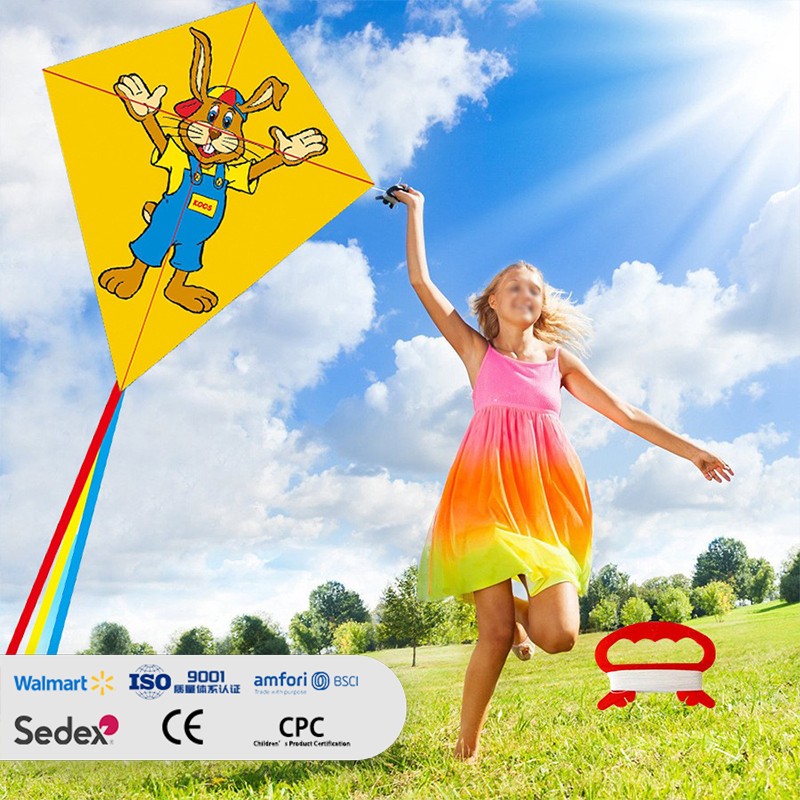 Diamond Rabbit Diamond Kite