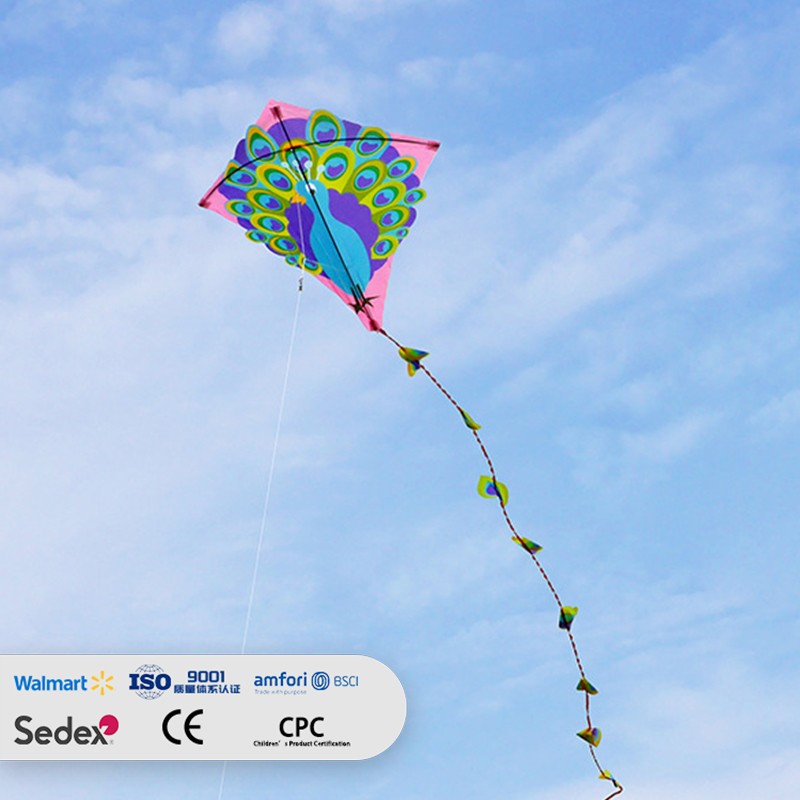 Cartoon Animal Peacock Diamond Kite