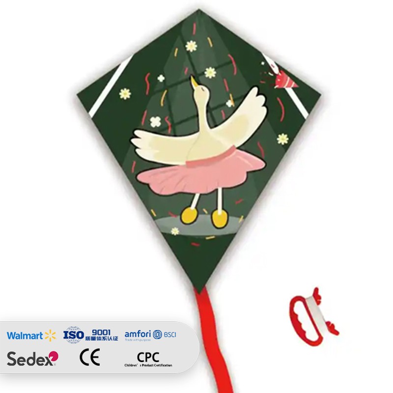 Outdoor Sport Hot sale Flying Chinese kite from the kite factory