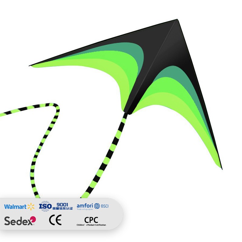 Colorful Prairie Kite