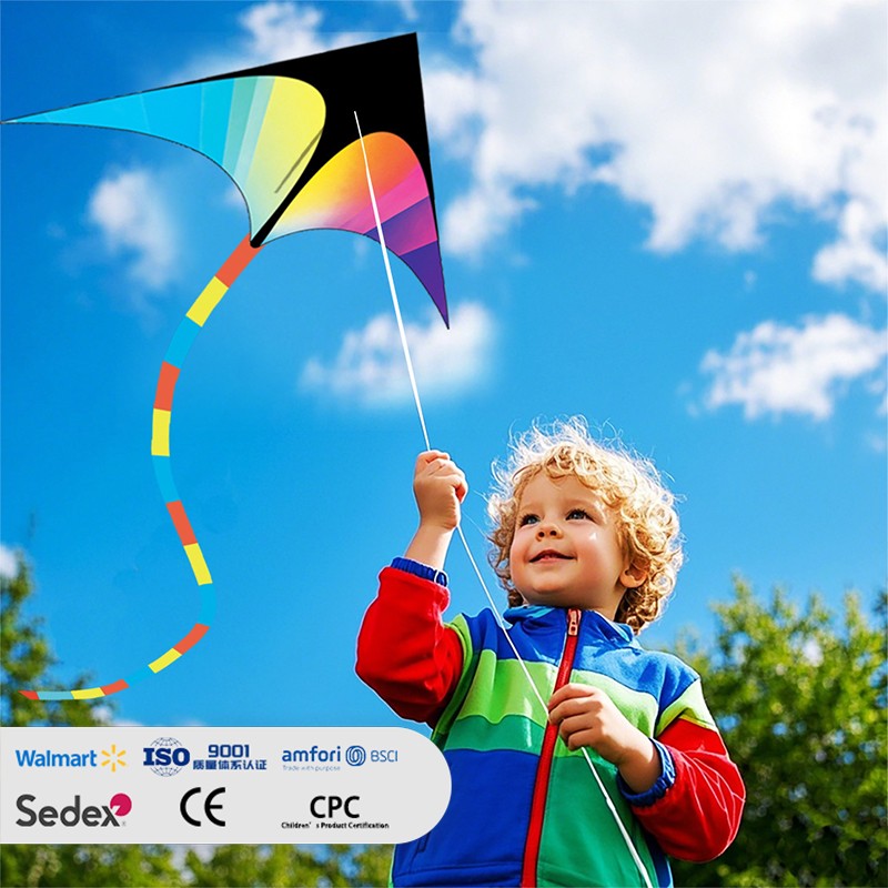Color Block Gradient Prairie Kite