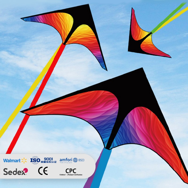 Pattern Gradient Prairie Kite