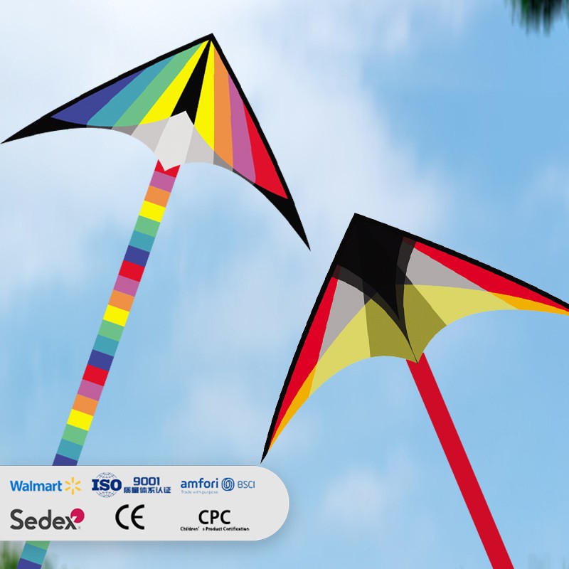 Rainbow Color Block Delta Kite