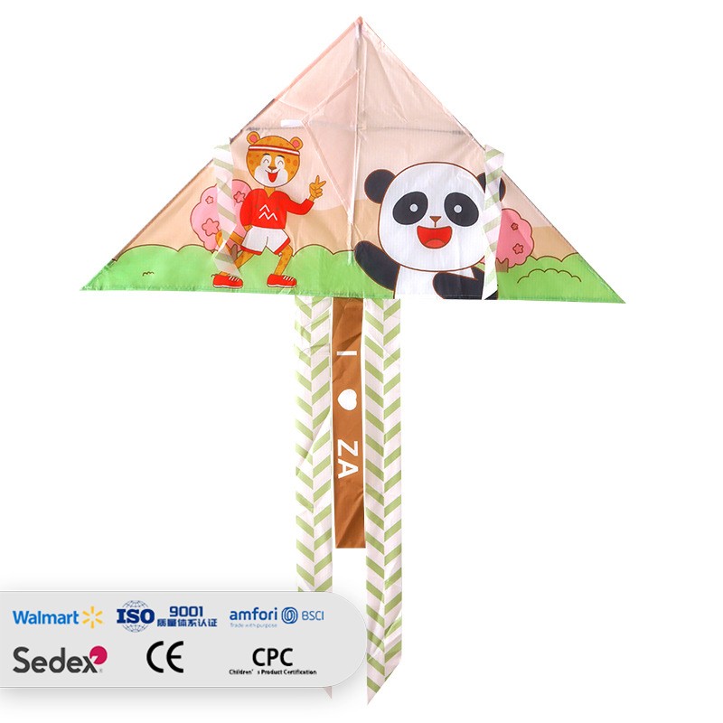 Kids' Cartoon Delta Kite