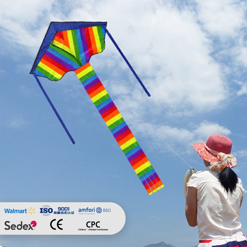 Blue-Top Color Block Gradient Delta Kite