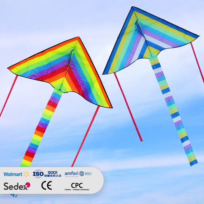 Rainbow Color Block Delta Kite