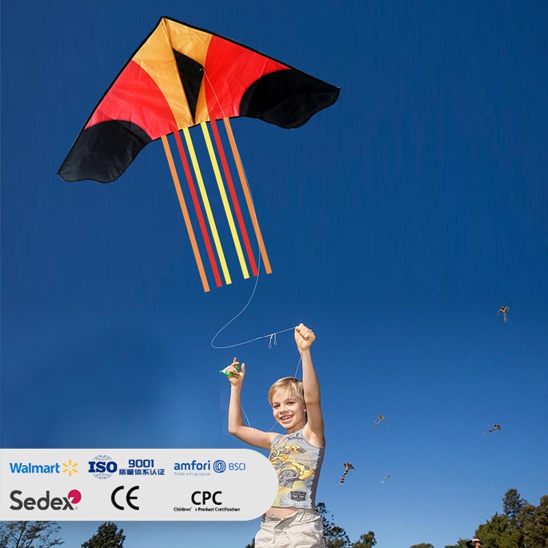 Three-Color Multi-Tail Patchwork Delta Kite