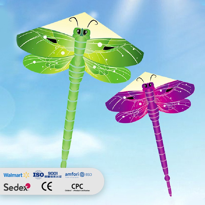 Cartoon Two-Color Dragonfly Novelty Delta Kite