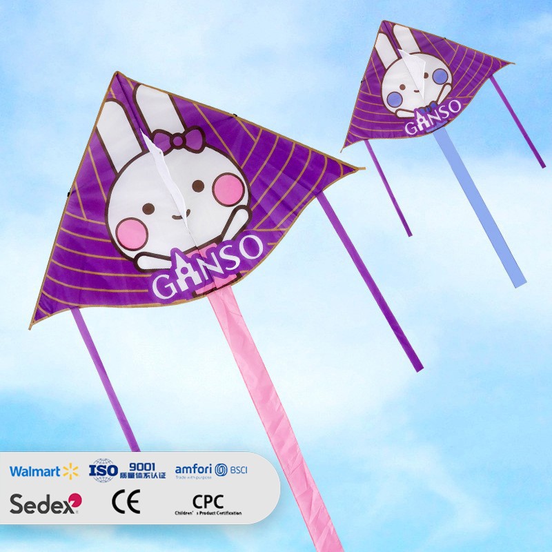 Cartoon Rabbit Delta Kite
