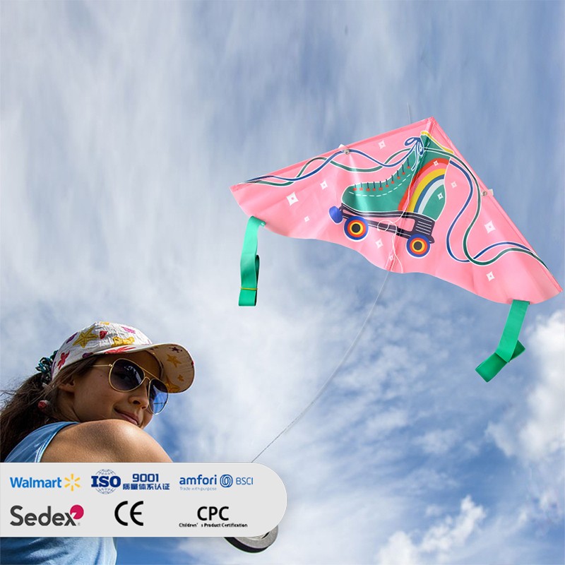 Kids' Cartoon Roller Skate Pattern Delta Kite