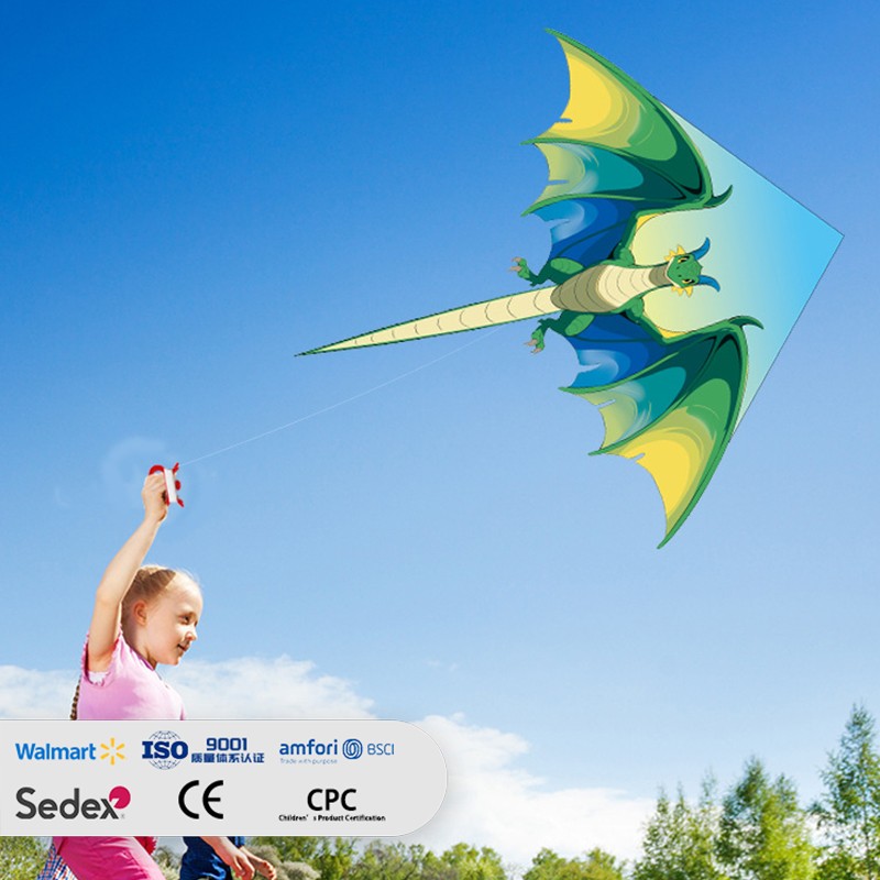 Triangular Pterodactyl Special-Shaped Kite