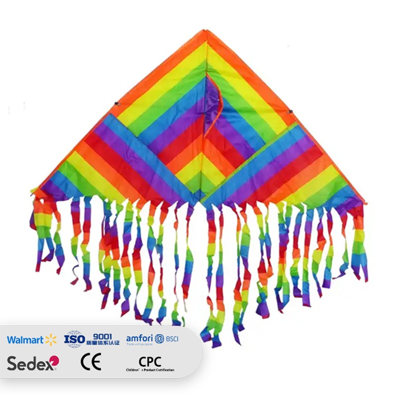 custom made large delta kite for children