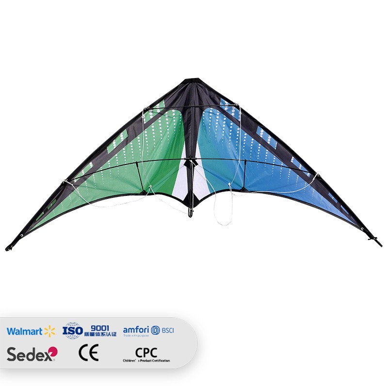 Blue-Green Pattern Dual-Line Stunt Sport Kite