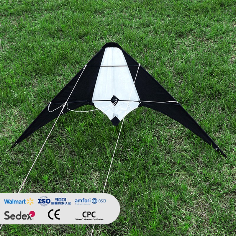 Black and White Dual-Line Stunt Sport Kite