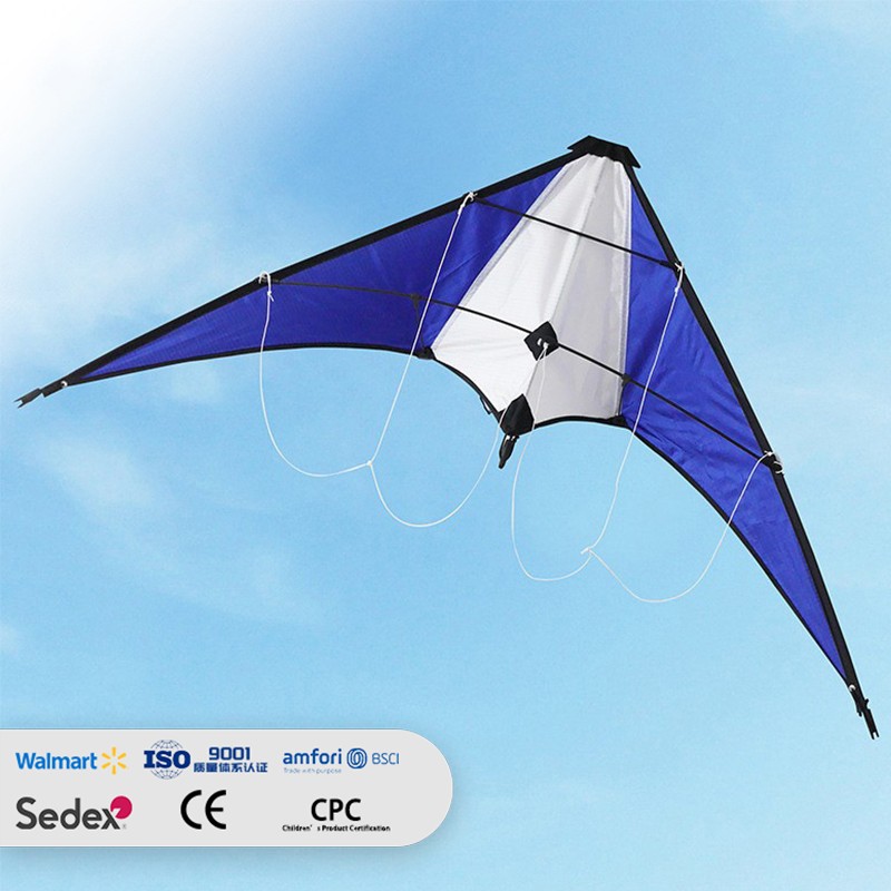 Blue and White Dual-Line Stunt Sport Kite