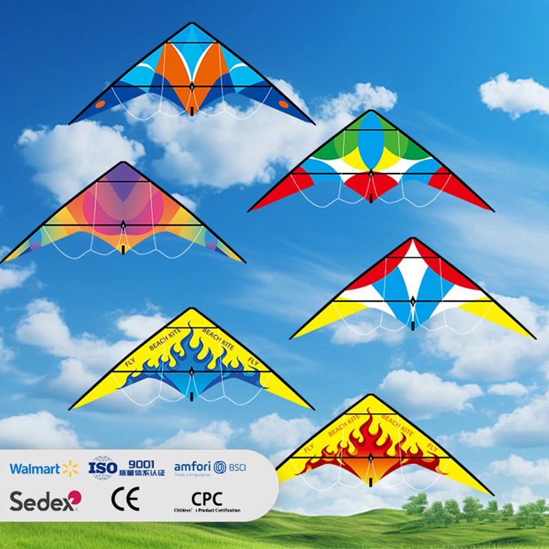 Colorful Pattern Dual-Line Stunt Sport Kite