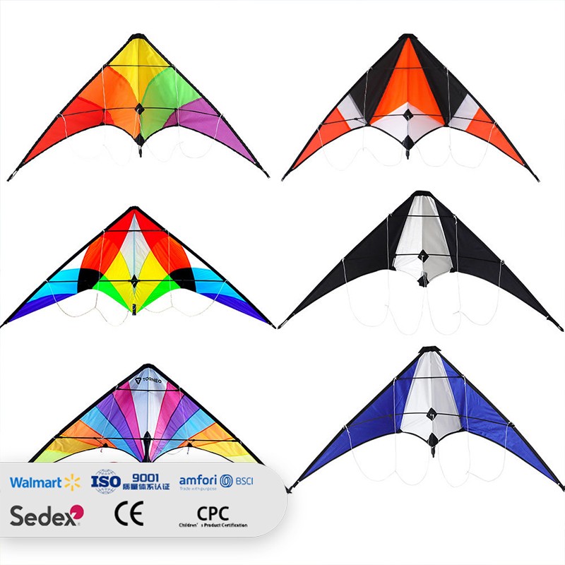 Colorful Patchwork Dual-Line Stunt Sport Kite