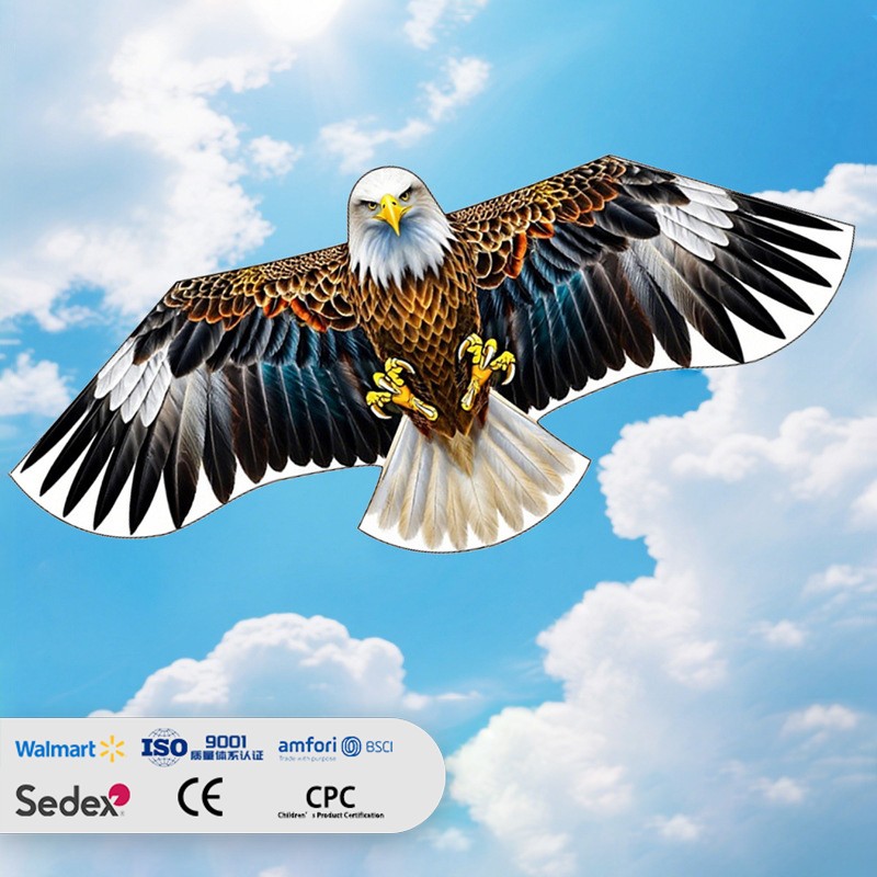 New Style Eagle-Shaped Kite