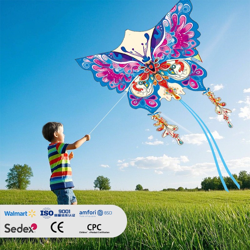 Patterned Butterfly-shaped Kite
