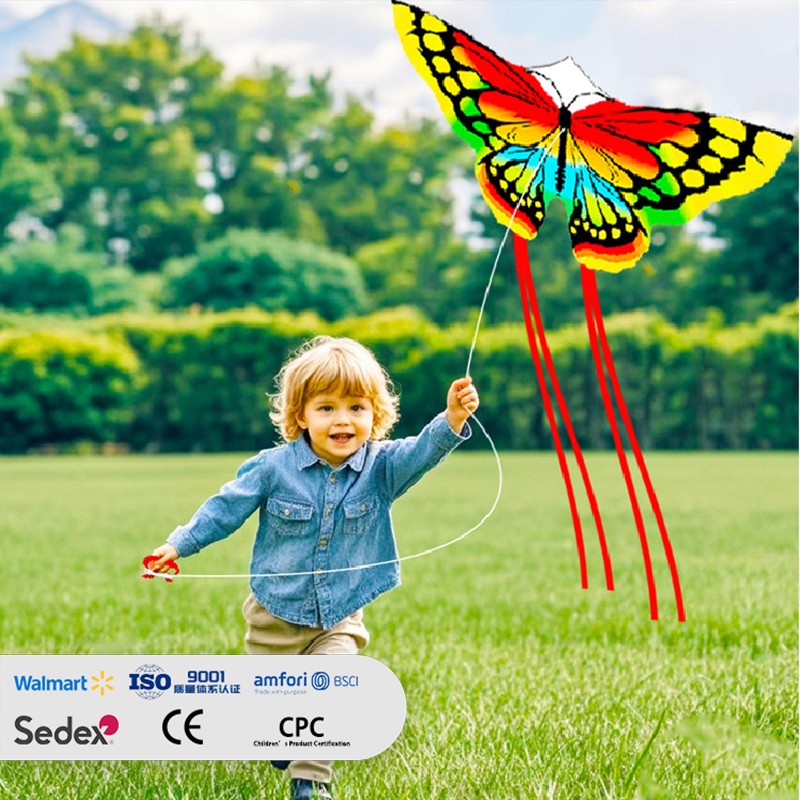 Colorful Butterfly-shaped Kite