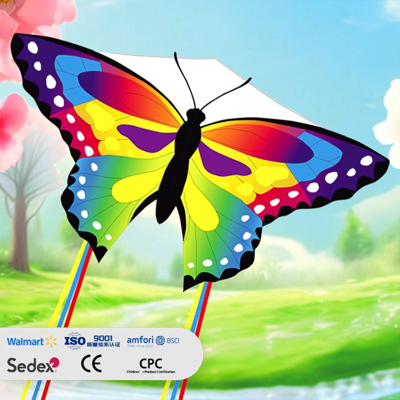 Colorful Butterfly-shaped Kite