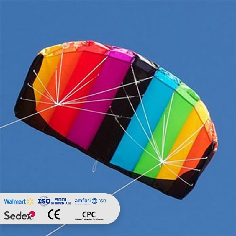 Dual-line Boneless Rainbow Soft Kite
