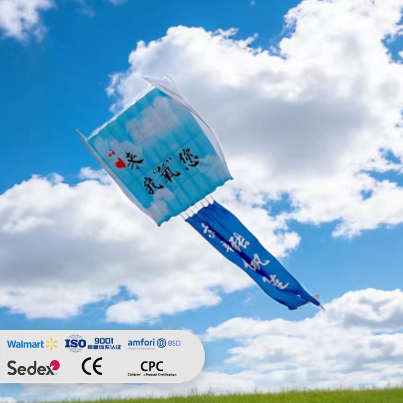 Giant 3D Soft Kite