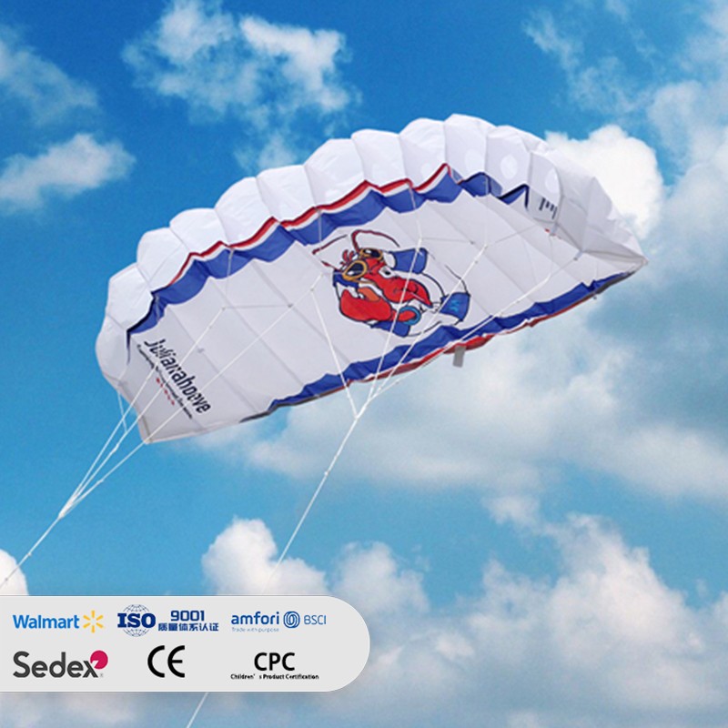 Heat transfer printing double line soft kite