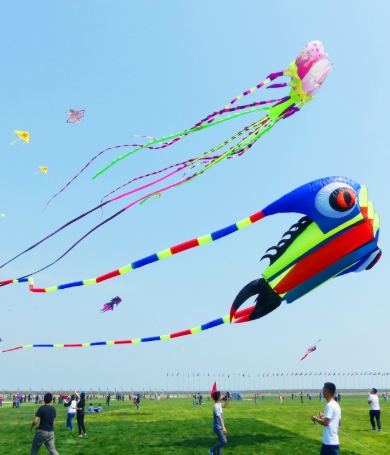 Stunt kite aerobatics performance